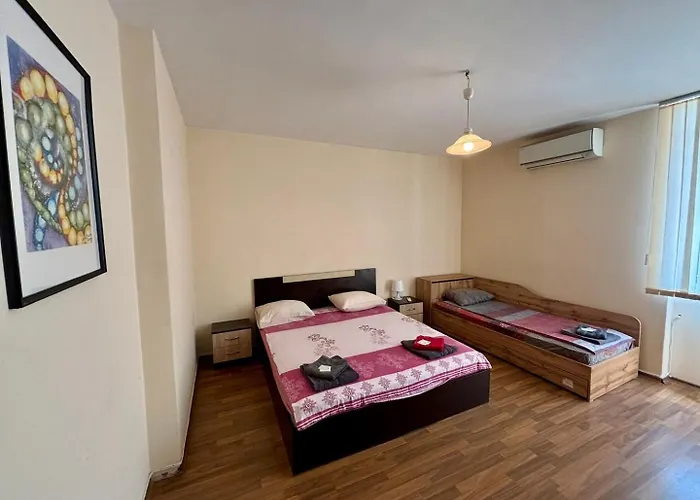 Comfy Next To Palace Of Justice